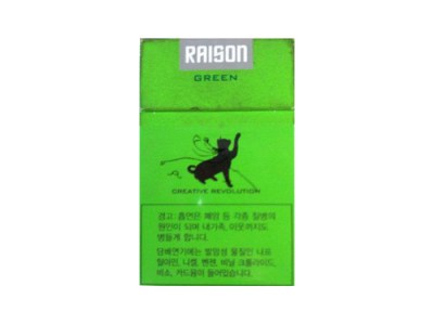 RAISON(fever korea)