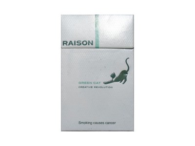 RAISON(fever korea)